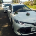 VIP такси Комфорт TOYOTA CAMRY