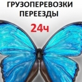 Грузоперевозки, Аккуратные и опытные грузчики!!!