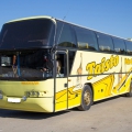 Neoplan,Setra,Mersedes...