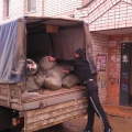Тентованный